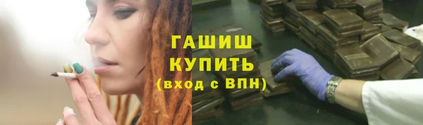 шишки Покачи