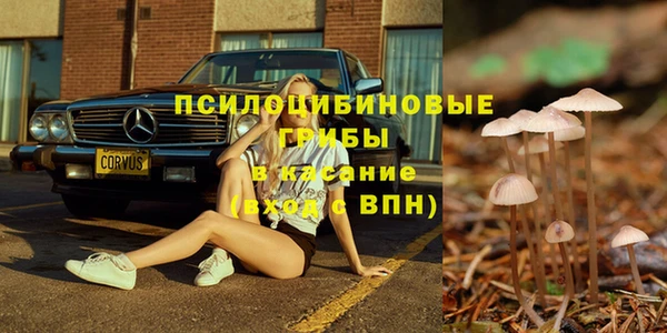 шишки Покачи