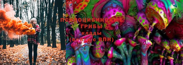 прущие грибы Покровск