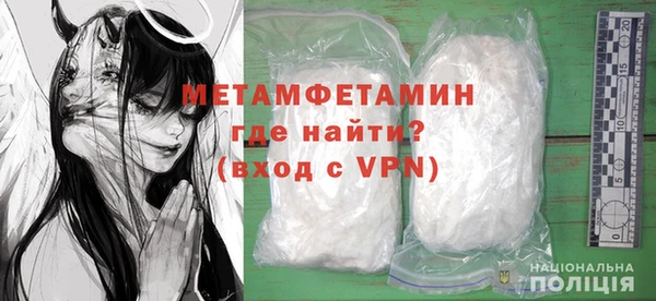 шишки Покачи
