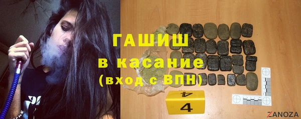 шишки Покачи